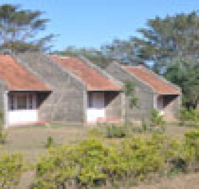 Blue Valley Jungle Resort photo 10