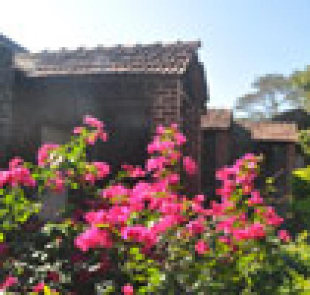 Blue Valley Jungle Resort photo 20