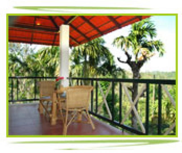 Glenora Homestay photo 9