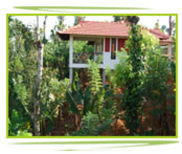 Glenora Homestay photo 17