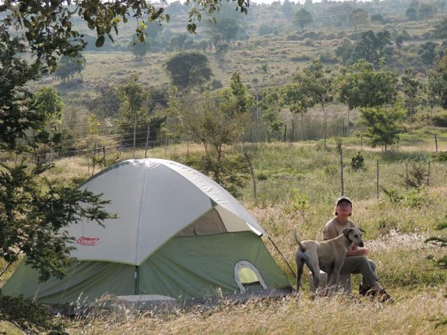 Dholes Den photo 20