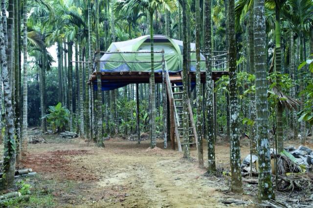 Kotekaad Homestay photo 3