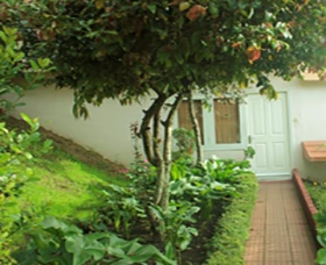 Kodai Resort photo 17