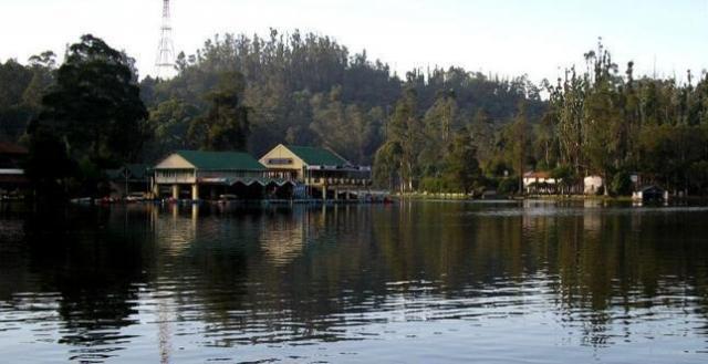 Mistycove Homestay photo 3