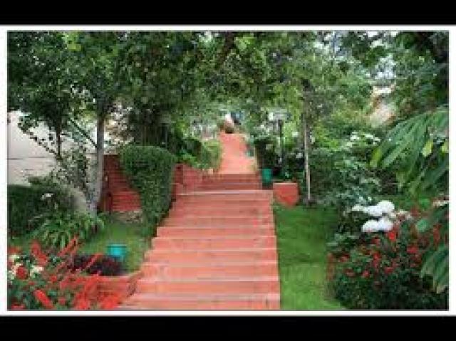 Mistycove Homestay photo 5