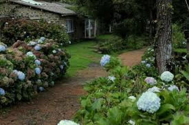 Mistycove Homestay photo 7