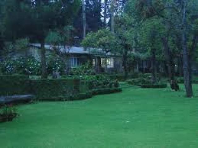 Mistycove Homestay photo 8