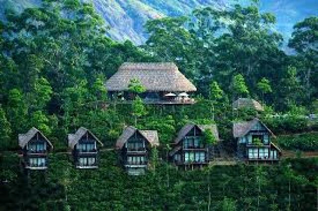 Srilanka photo 11