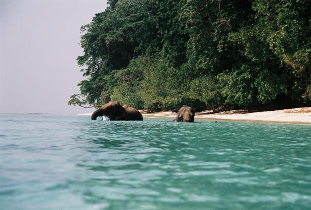Andaman Nicobar photo 7