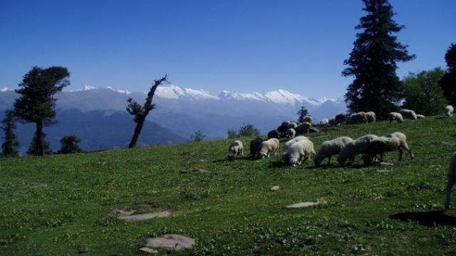 Manali photo 19