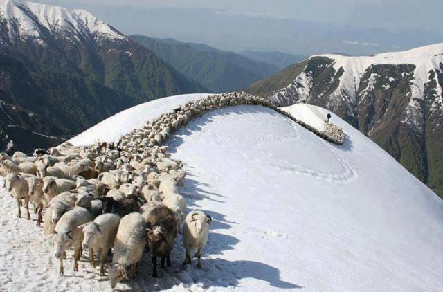 Himachal  with Shimla photo 5