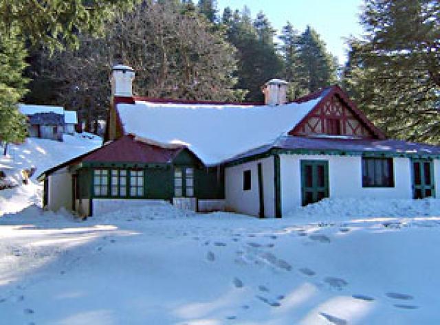 Dalhousie photo 8