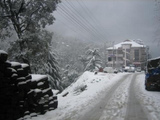 Dalhousie photo 13