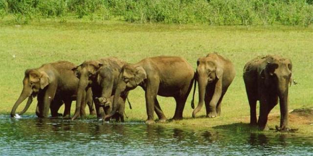 Munnar with Alleppey photo 2