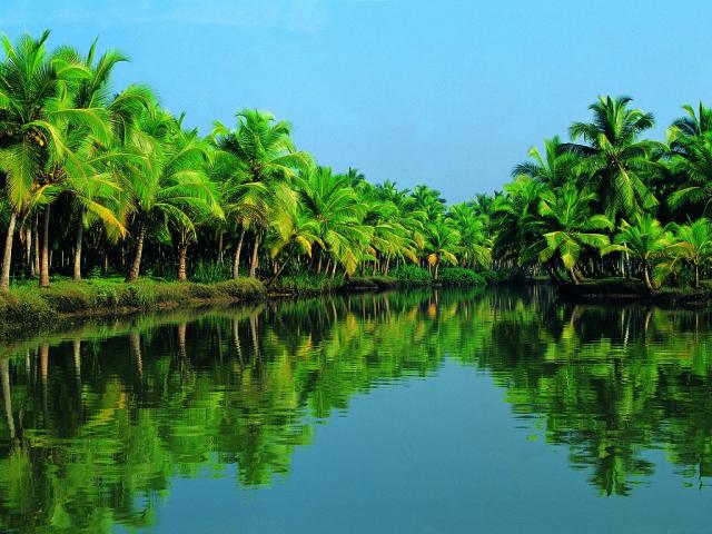 Munnar with Alleppey photo 13