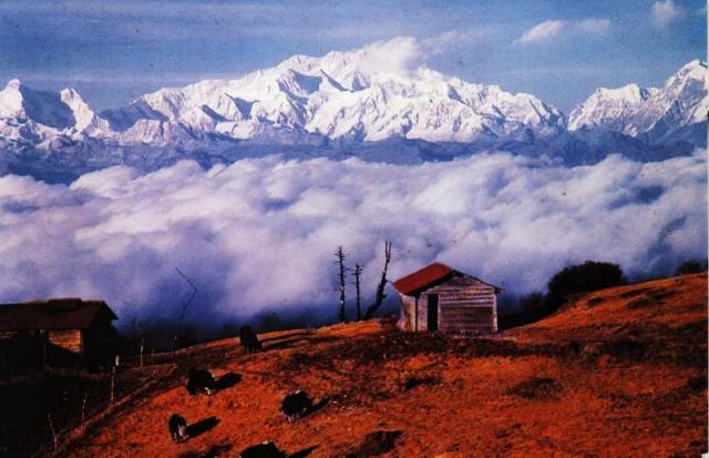 Darjeeling with Gangtok photo 9