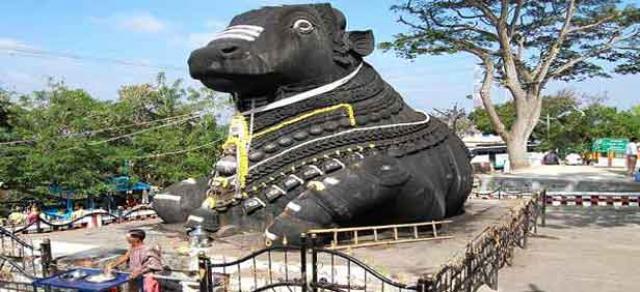 Bangalore with Mysore photo 2