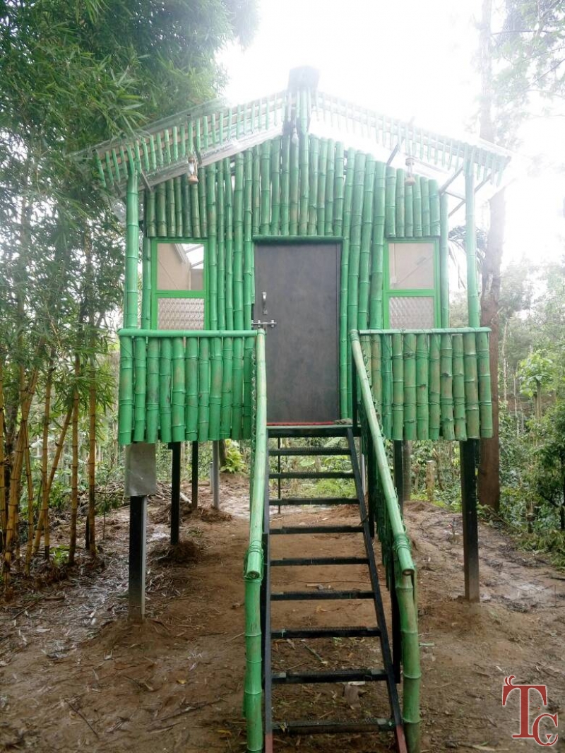 Nature Nestate Homestay photo 14