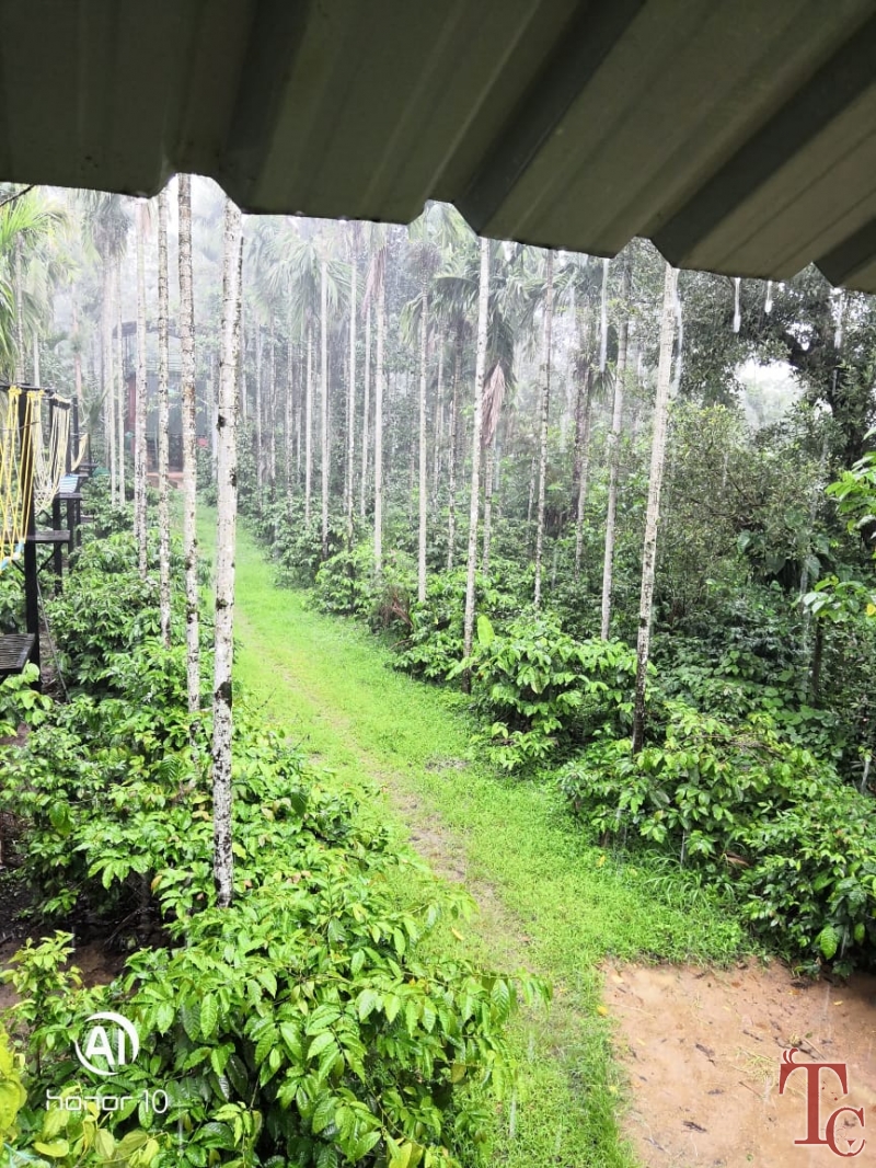 Nature Nestate Homestay photo 18