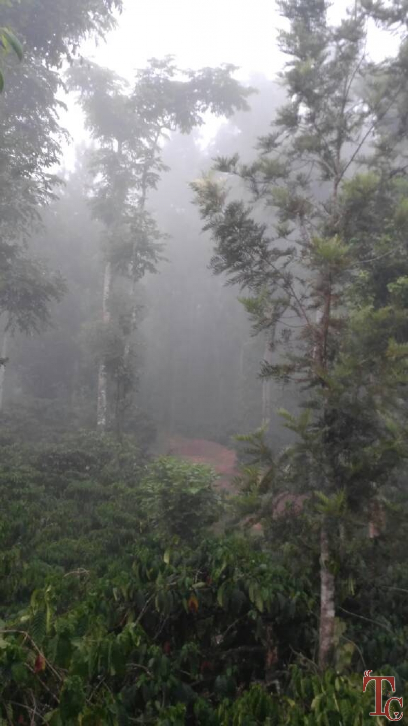 Nature Nestate Homestay photo 19