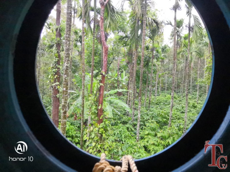 Nature Nestate Homestay photo 20