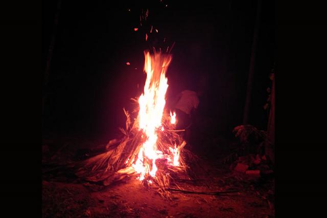 Nature Nestate Homestay photo 40