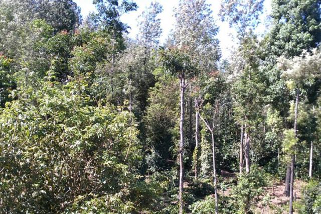 Nature Nestate Homestay photo 45