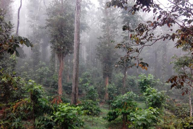 Nature Nestate Homestay photo 52