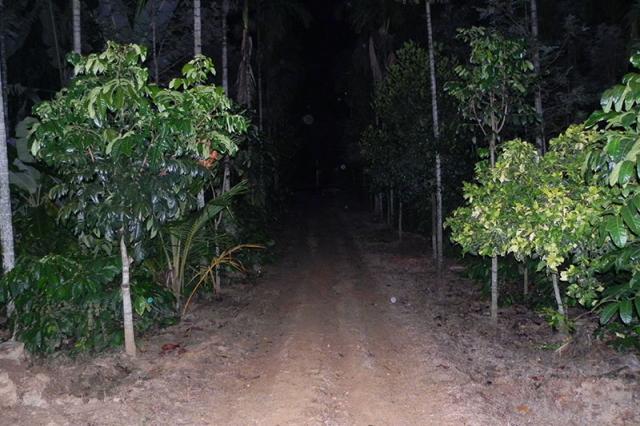 Nature Nestate Homestay photo 53