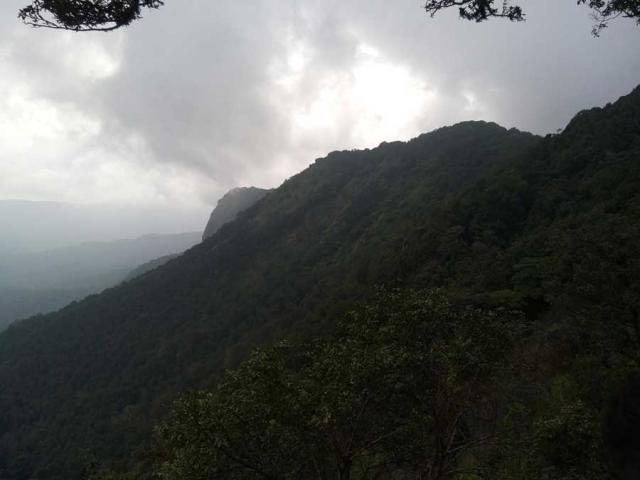 Belachikatte Homestay photo 5