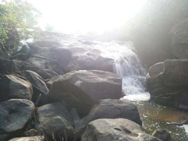 Belachikatte Homestay photo 6