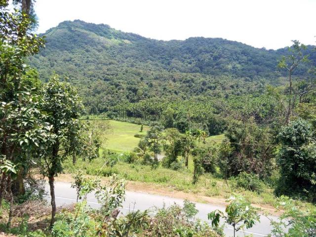 Belachikatte Homestay photo 8