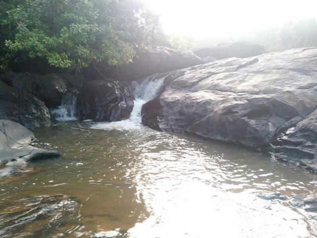 Belachikatte Homestay photo 9