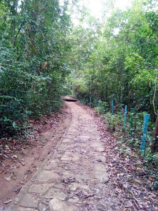 Belachikatte Homestay photo 10