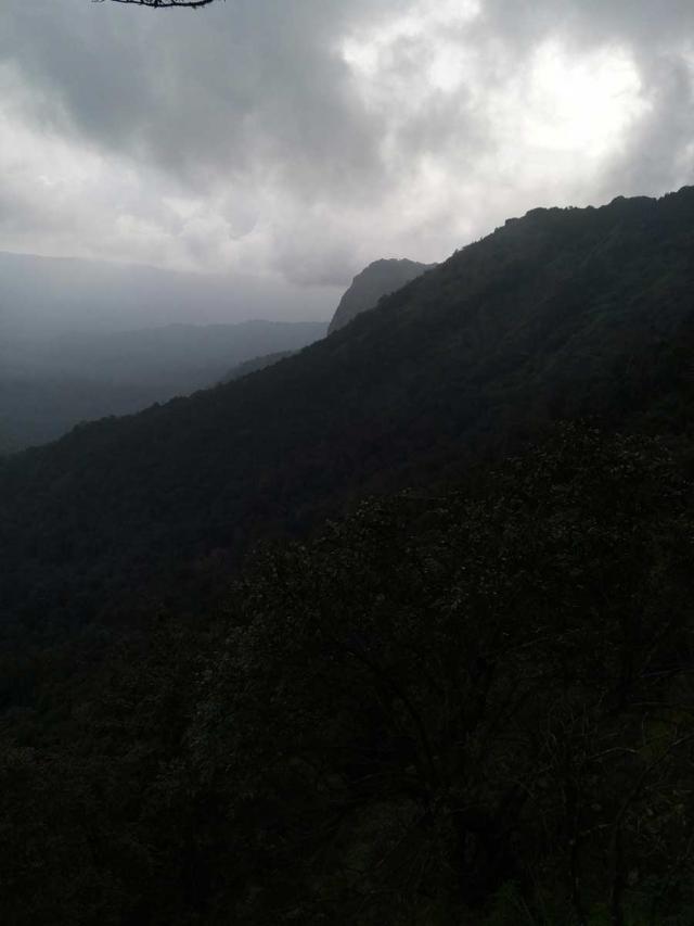 Belachikatte Homestay photo 11