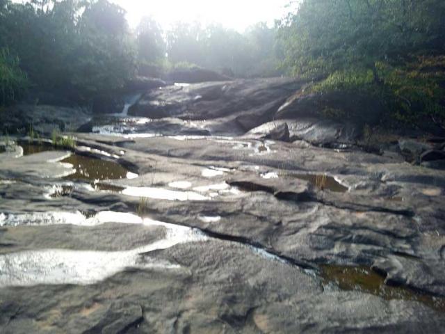 Belachikatte Homestay photo 12