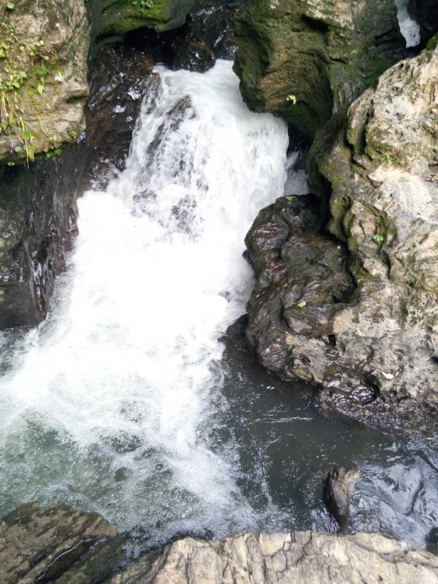 Belachikatte Homestay photo 21