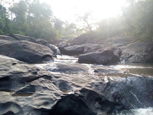 Belachikatte Homestay photo 23
