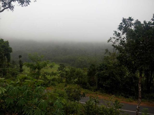 Belachikatte Homestay photo 25