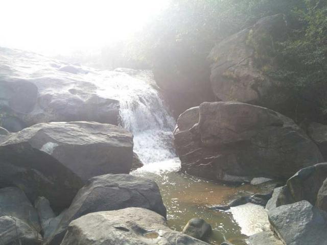 Belachikatte Homestay photo 28