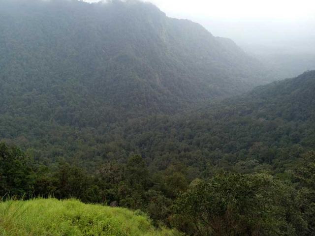 Belachikatte Homestay photo 29