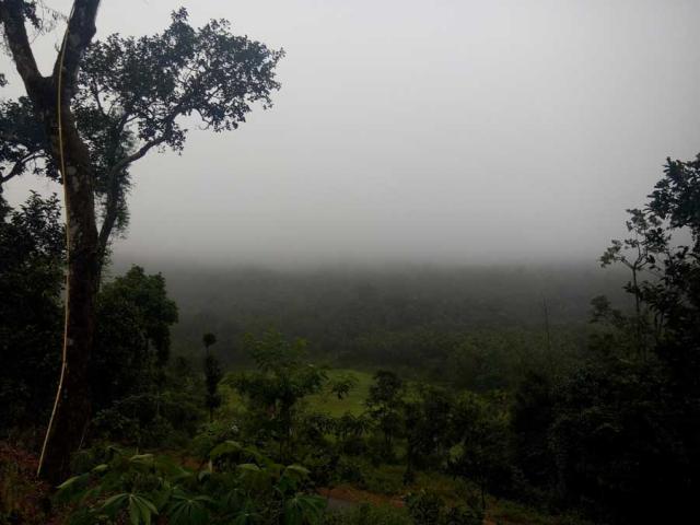 Belachikatte Homestay photo 36