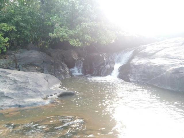 Belachikatte Homestay photo 37