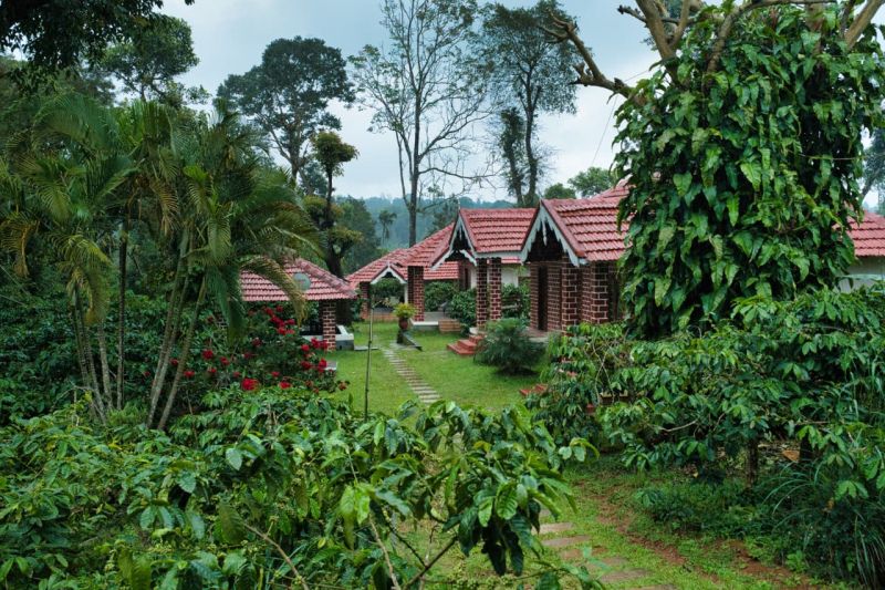 Coffee County Homestay photo 12