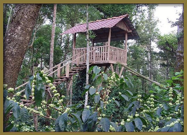 Honey Pot Homestay photo 3