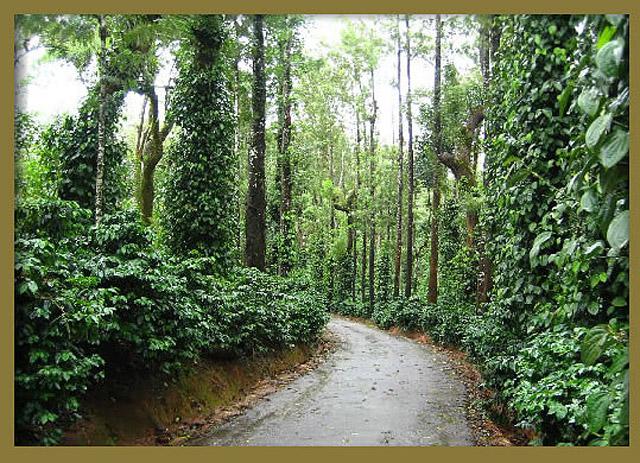 Honey Pot Homestay photo 4