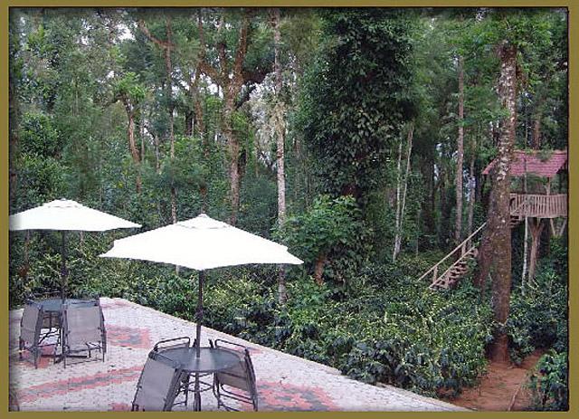 Honey Pot Homestay photo 7
