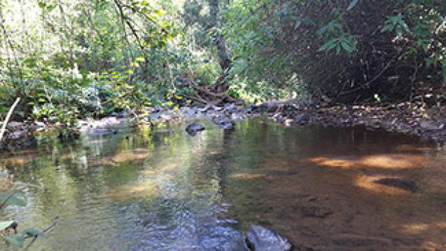 Bagmane Estate Homestay photo 16