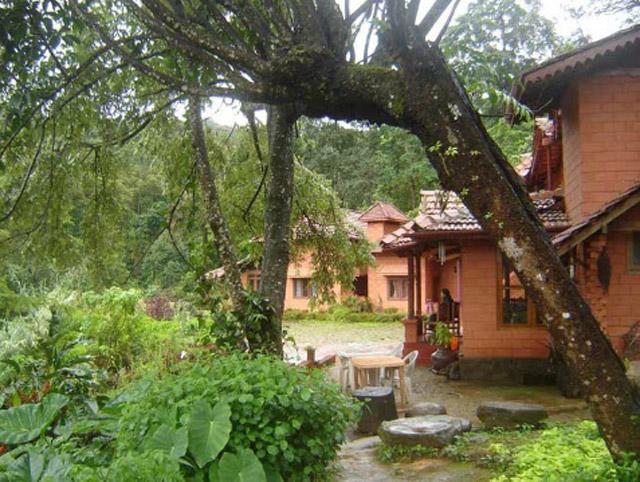 Honey Valley Homestay photo 5