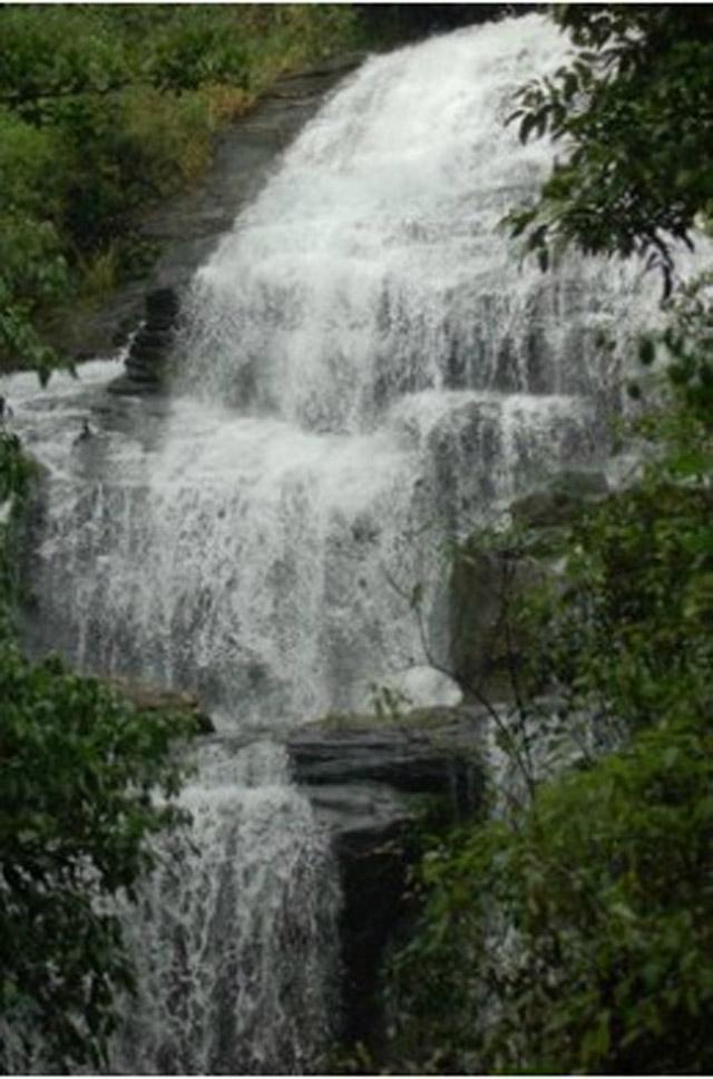 Honey Valley Homestay photo 6